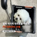 스토리펫(Story pet) | [펫앤모어 수원] 반려동물 박람회 참가업체, 부스배치도, 이벤트, 무료입장권 총정리