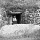 New 궁전 이미지