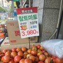 시현나라 | 아보하(아주 보통의 하루)