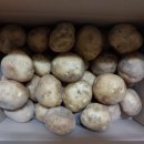 시골청과 이미지