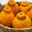 향긋농장 이미지