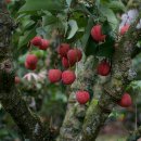 오늘세탁(LAUNDRY TODAY) 이미지