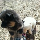 재룡농장 이미지