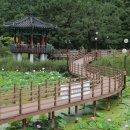 들성로-8 이미지