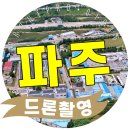 라인그래픽