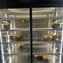 용인 역북동맛집 삼겹살과 서비스조개탕, “고기원칙”후기