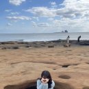 순덕이네감자탕 이미지