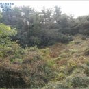 표선면-3 이미지