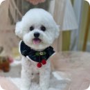 율하광장 반계공원 이미지