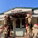 6826 | 광릉수목원 카페 추천｜피톤치드 가득한 남양주 진접카페 앤스베이글, 베이글 맛집 후기