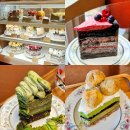 라므아르 | 서울 비건 카페 추천 망원 라므아르 후기