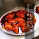 광장18호 이미지