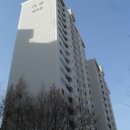 분당-141 이미지