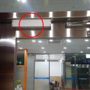 성암생활체육관 체육관 이미지