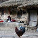 풍경을 요리하는 농부 이미지