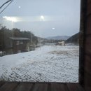 영심이네 펜션 이미지