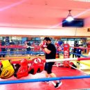 평촌 권투체육관 이미지