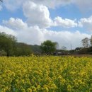 금암리 간이화장실 이미지