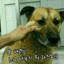 상반기 학생,학부모 독서문화프로그램[질문독서 프로젝트] | 초보 저자의 도서관 강연 뚫기 쏠쏠 정보