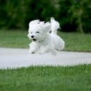 반포자이동물병원 이미지