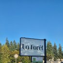 라포레 (LA FORET) | 캐나다 밴쿠버 카페 빙수 맛집 라포레 어스틴 La Foret Austin 망고빙수 후기