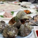 곰소초교 | 변산 맛집 인생 횟집 변산소노벨근처맛집