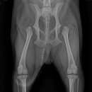 개금동물병원 이미지