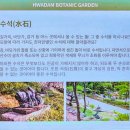 숲길 전경 이미지