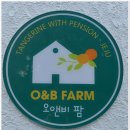 오앤비팜스테이 이미지