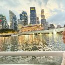 (주)인포가이드코리아 | [Day7] 마지막날 | 완탕면 맛집 Tian Xin Wanton Noodle, 한국인 가이드 싱가포르 핵심시티&amp;야경투어 후기