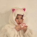 (주)시그 이미지