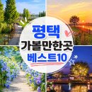 경기도 평택 가볼만한곳 베스트10 (숨은 명소 위주!)