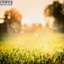 K비젼안경콘택트 이미지