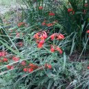 아름다운농장 이미지