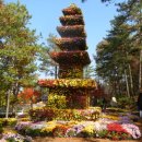 [25년 11월정기산행]전남 영암/월출산 단풍(노적봉-향로봉-구정봉♧천황봉)&amp;월출산 국화축제 이미지