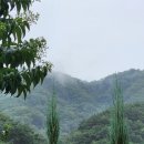 두메유기농원 이미지