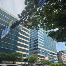 시래와보리 이미지