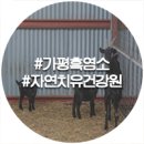 자연농장건강원 - 강진군 신마길 16-2 | 자연농장건강원