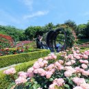 도당 공영 주차장 이미지