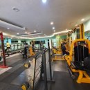 다이어트119GYM 이미지