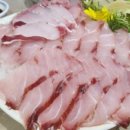 해광민어횟집 네이버블로그