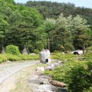 노루목향기 | 영월 김삿갓 유적지.강원