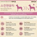 퍼피앤뷰티
