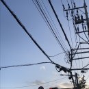 신일오토밋션 이미지