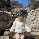 3.8농원 이미지