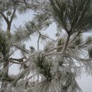 유구읍사무소 이미지