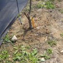 윤지농장 이미지