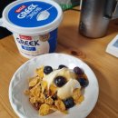 일동후디스 노동조합 | [일동후디스] 후디스 그릭 요거트 플레인ㅣ가성비 대용량그릭요거트 다이어트 아침 대용 후기