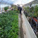 보신농장 이미지