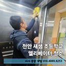 새샘초등학교 이미지